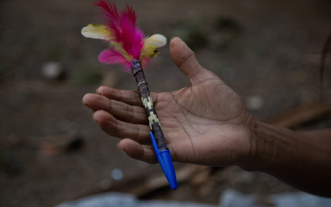 #DemarcaYvyrupa: Guarani querem que governo demarque 12 Terras Indígenas sem pendências