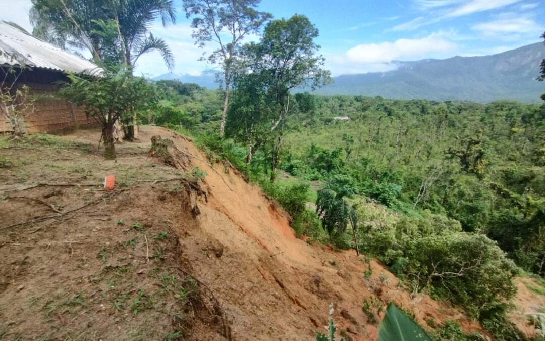 Paralisação da demarcação da TI Ribeirão Silveira (SP) piorou impacto de enchentes